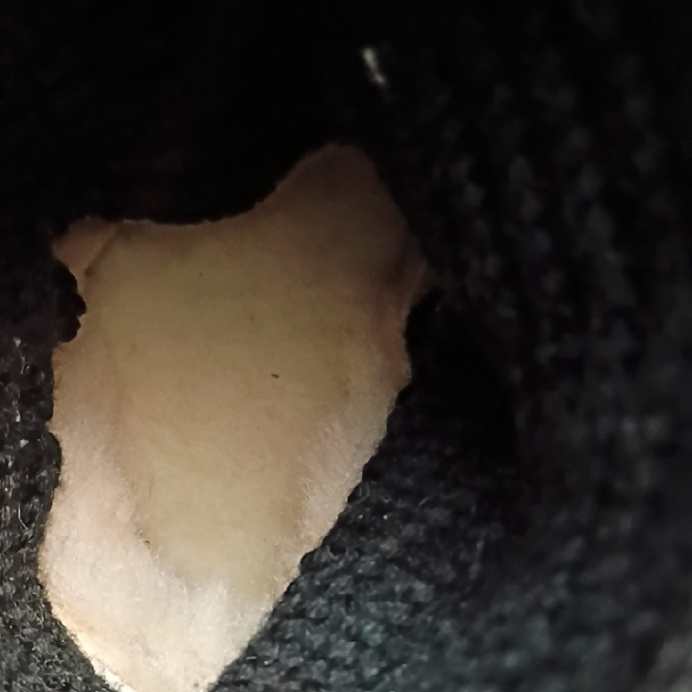 😍UGG Tall Cardy Black Knit Boots with 3 Button Detail - Picture 11 of 14
